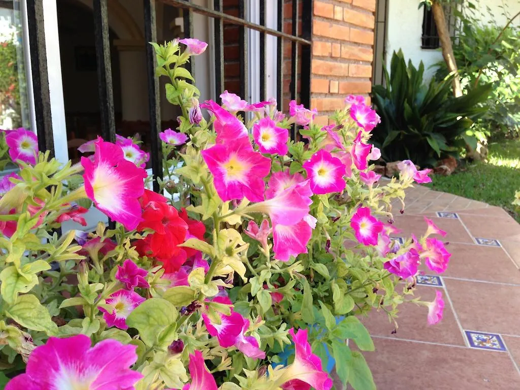 Hotel Carmen Teresa Torremolinos 3*,